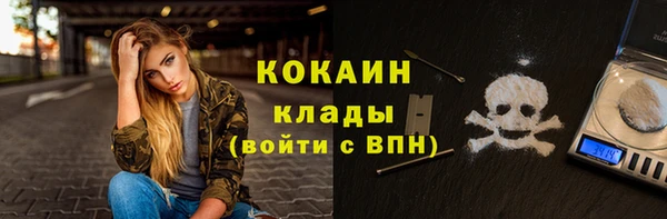 твердый Богородицк