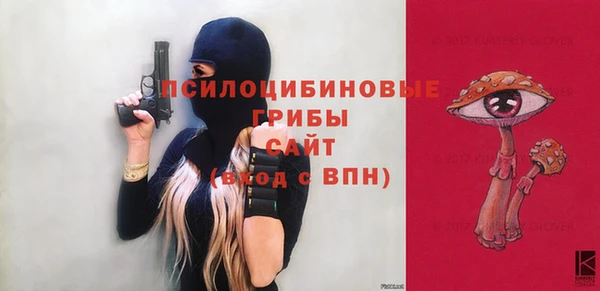 твердый Богородицк