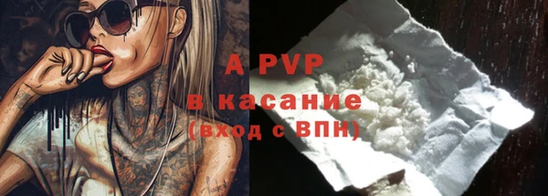 кокс Белокуриха