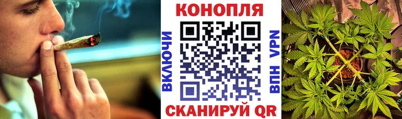 даркнет наркотические препараты  купить наркотики цена  Бутурлиновка  Канабис план 
